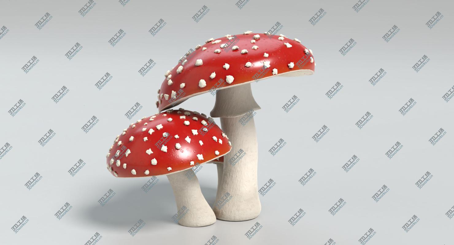 images/goods_img/202105072/Amanita Mushrooms/5.jpg